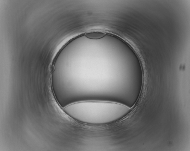X0000113941392200909250929