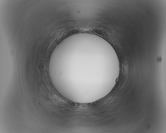 X0000113941393200909250928