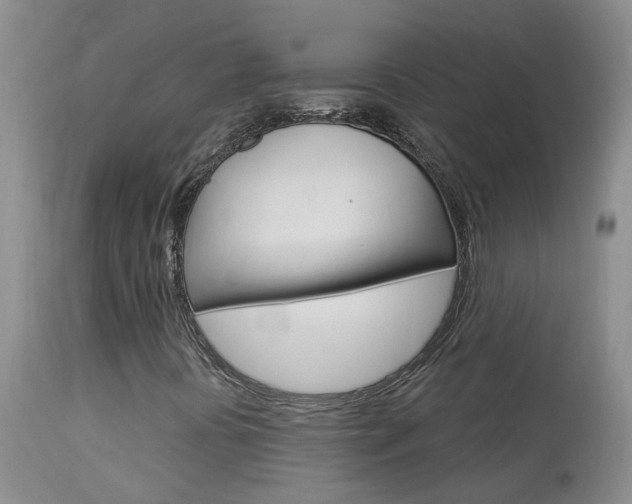 X0000113941394200909250928