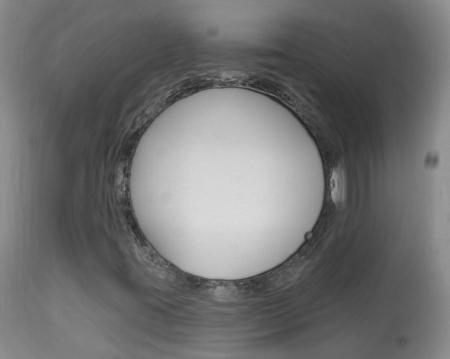 X0000113941395200909250928