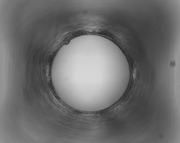 X0000113941396200909250928