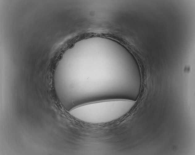 X0000113941398200909250928