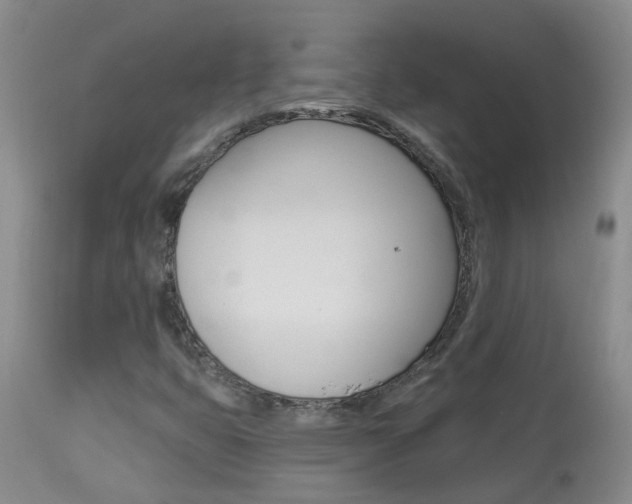 X0000113941399200909250928