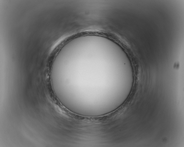 X0000113941400200909250928