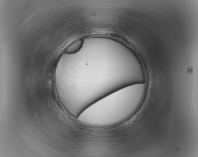 X0000113941401200909250928