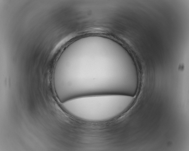 X0000113941402200909250928