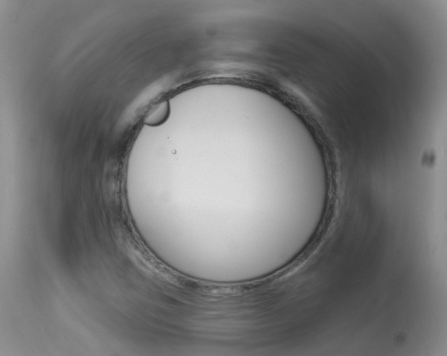 X0000113941403200909250928