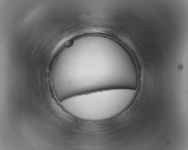 X0000113941404200909250928