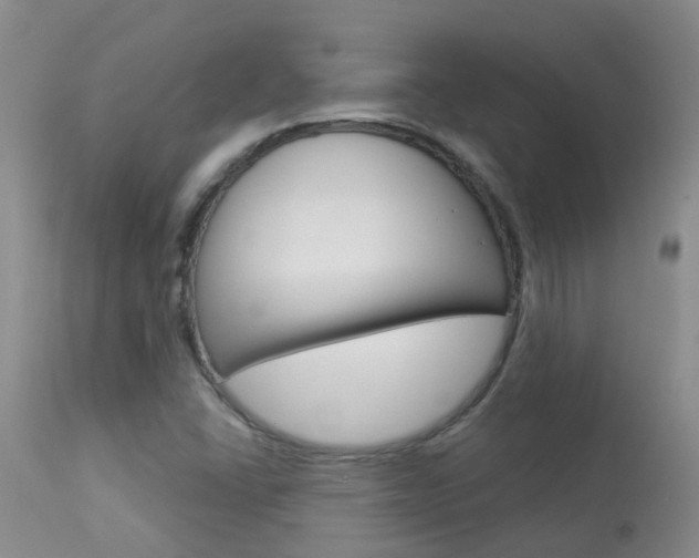 X0000113941406200909250928