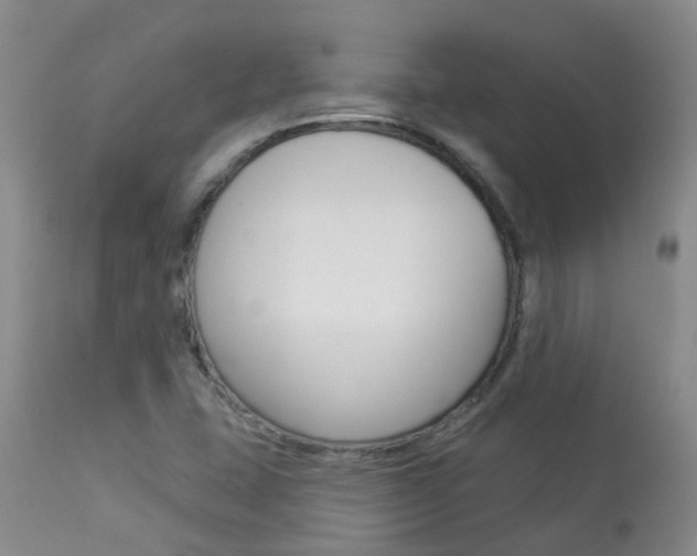 X0000113941407200909250929