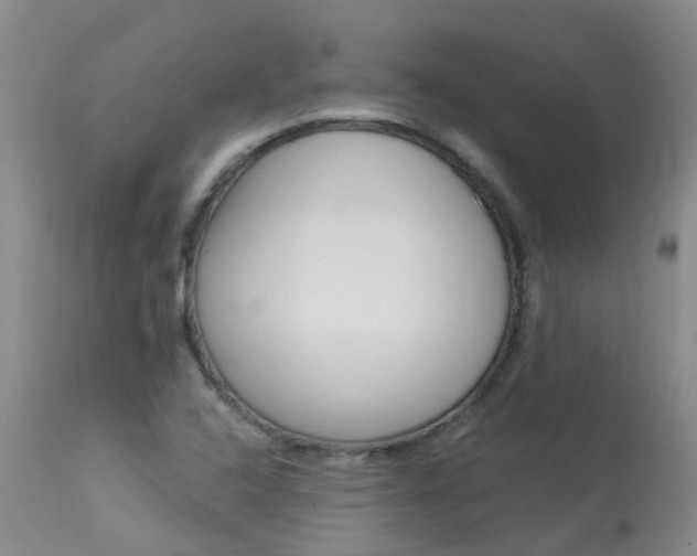 X0000113941408200909250929