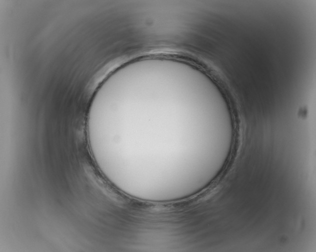 X0000113941409200909250929