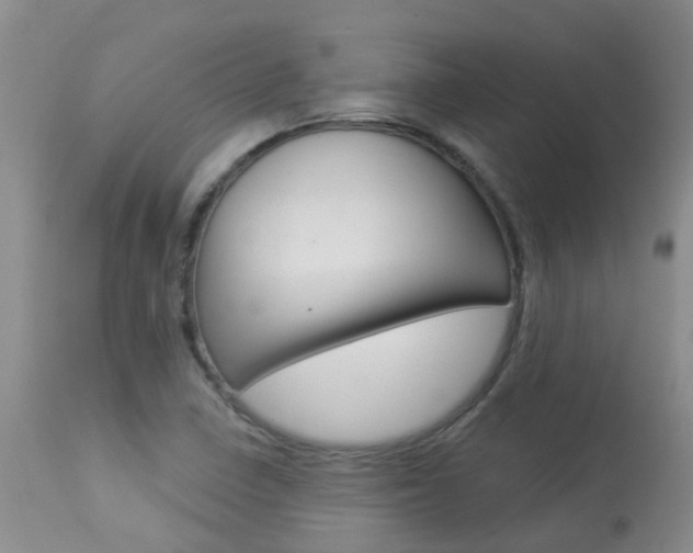 X0000113941410200909250929