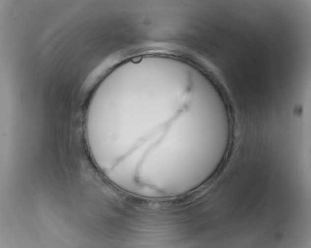 X0000113941411200909250929