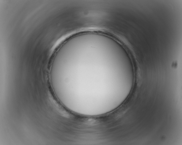 X0000113941412200909250929