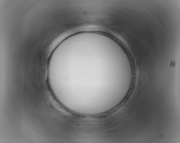 X0000113941413200909250929