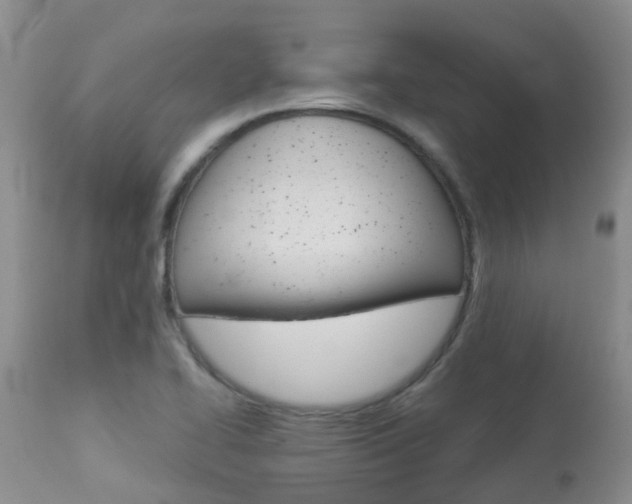 X0000113941414200909250929