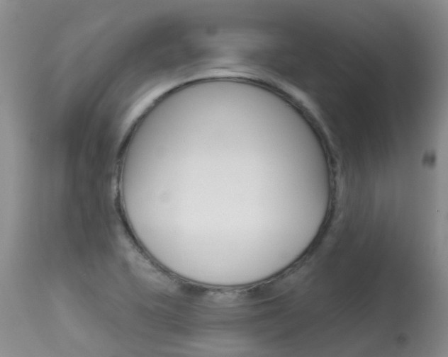 X0000113941415200909250929