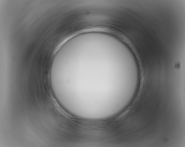 X0000113941417200909250929