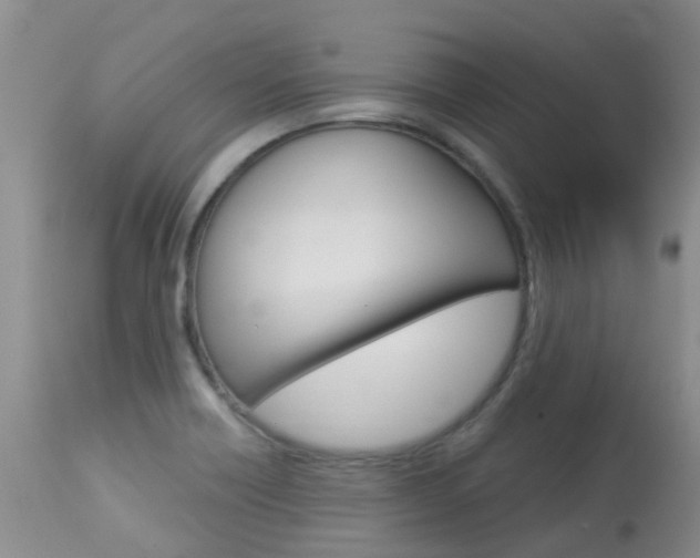 X0000113941418200909250929