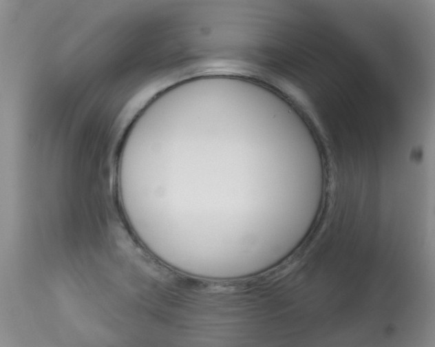 X0000113941419200909250929