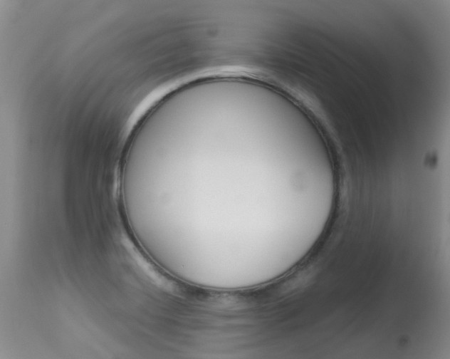 X0000113941420200909250929