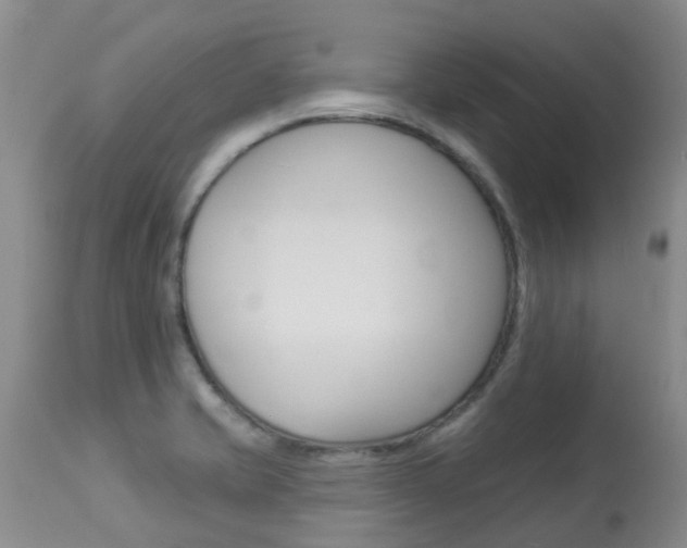 X0000113941421200909250929