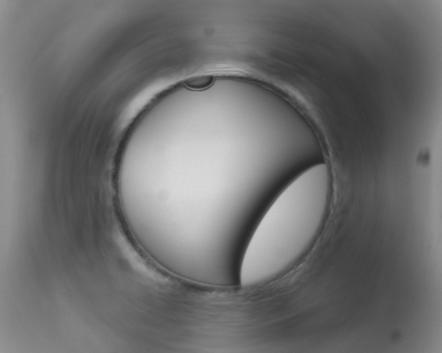 X0000113941422200909250929