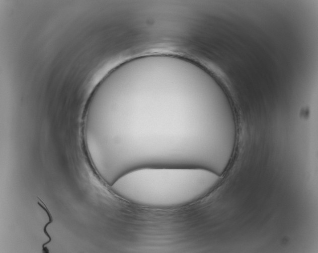 X0000113941423200909250929
