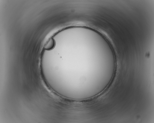 X0000113941424200909250929