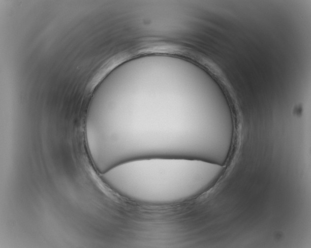 X0000113941425200909250929