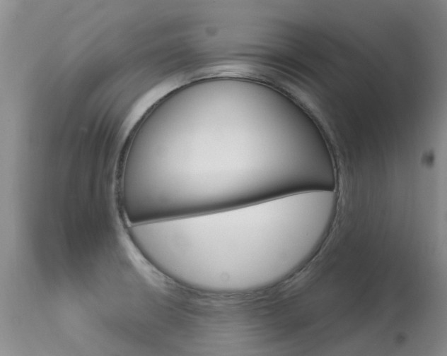X0000113941426200909250929