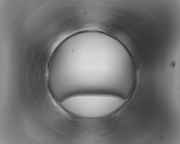 X0000113941428200909250929