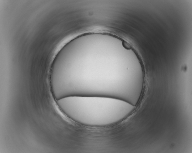 X0000113941429200909250929