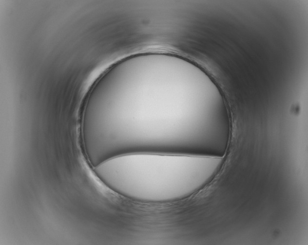 X0000113941430200909250929