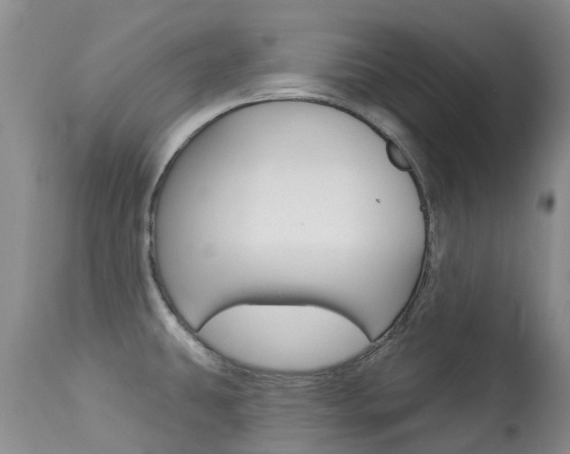 X0000113941431200909250929