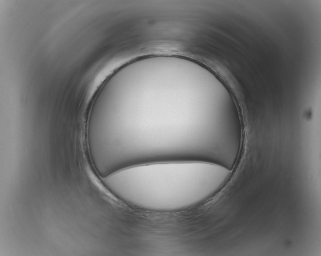 X0000113941432200909250929