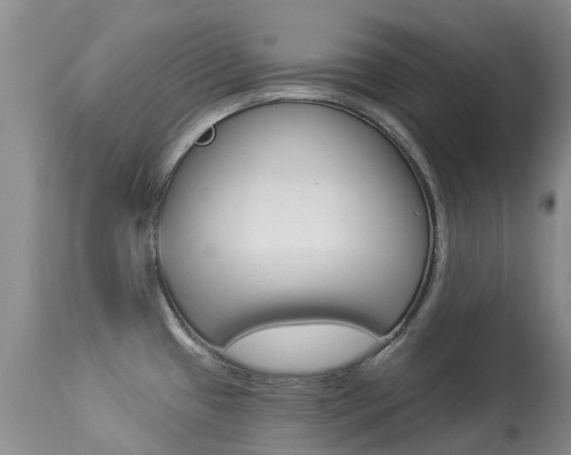 X0000113941433200909250929