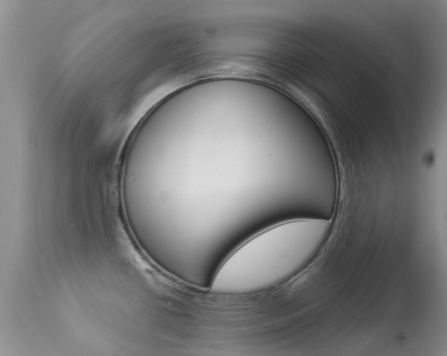 X0000113941434200909250929