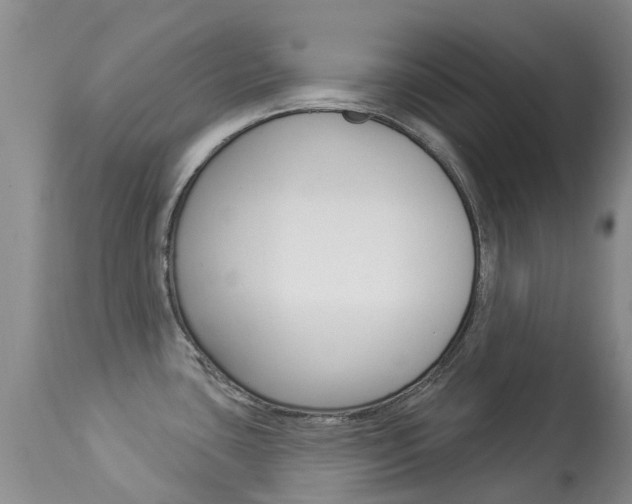 X0000113941435200909250929