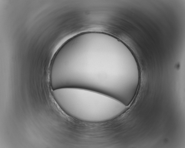 X0000113941436200909250929