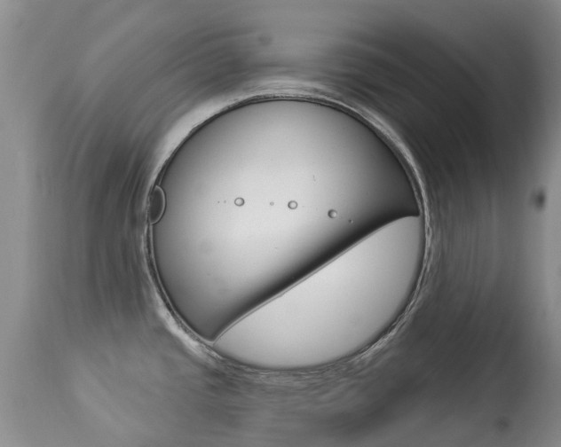 X0000113941437200909250929