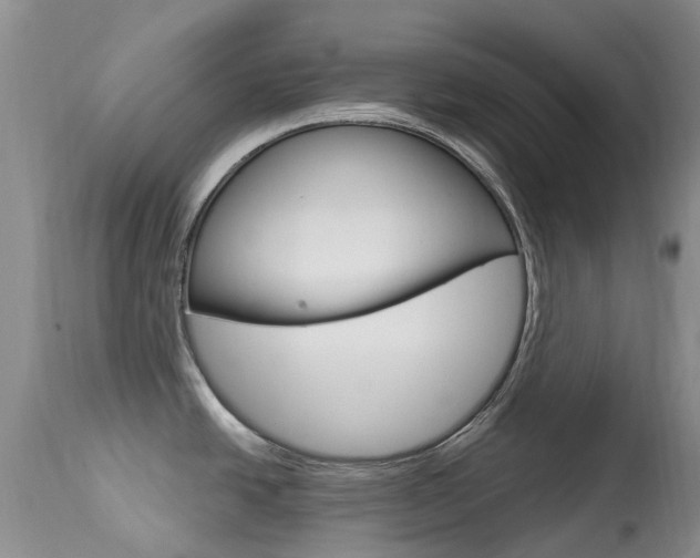 X0000113941438200909250929