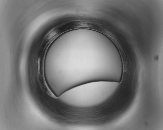 X0000113941439200909250929