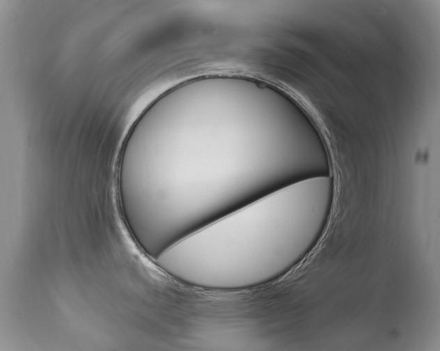 X0000113941440200909250929