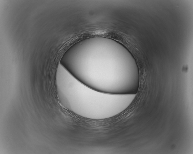 X0000113941441200909250928