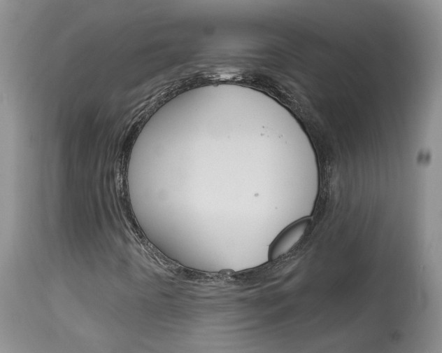 X0000113941442200909250928