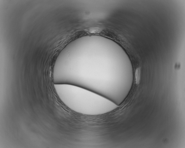 X0000113941443200909250928