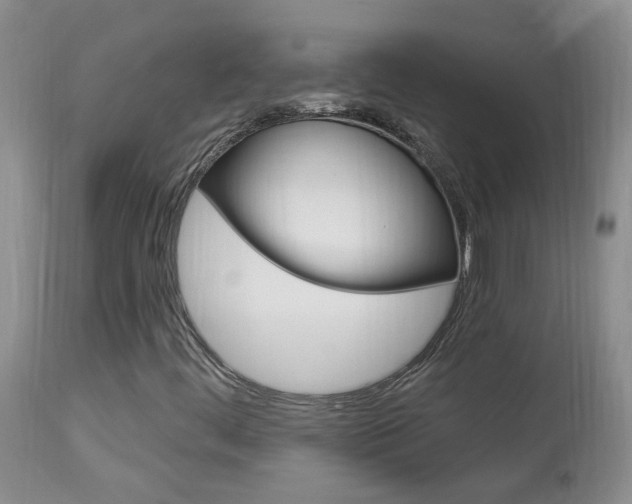 X0000113941444200909250928