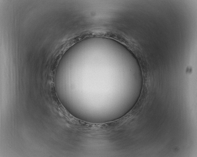X0000113941445200909250928
